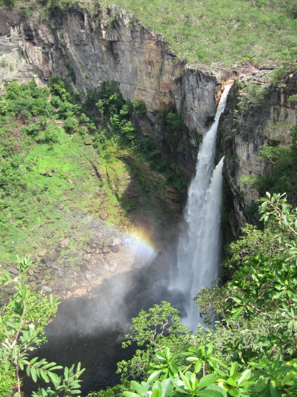 2008-01-09 Chapada (52)